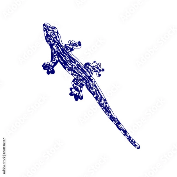 Fototapeta sketch of a lizard for elements in making logos and symbols