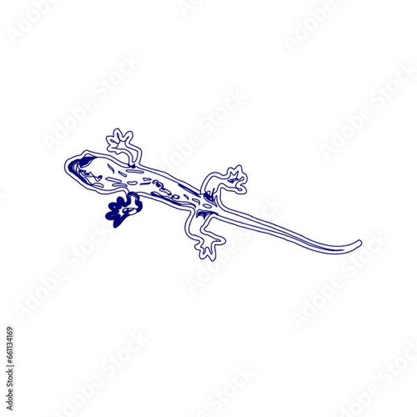 Fototapeta sketch of a lizard for elements in making logos and symbols