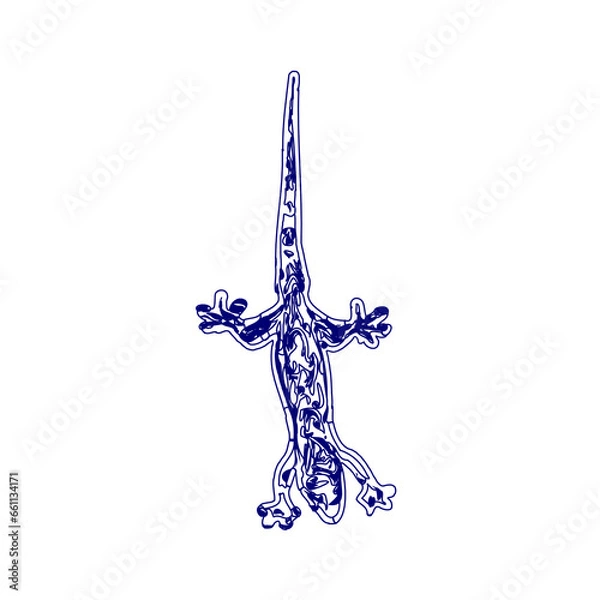 Fototapeta sketch of a lizard for elements in making logos and symbols