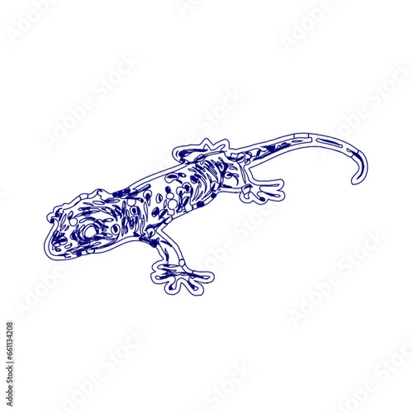 Fototapeta sketch of a lizard for elements in making logos and symbols