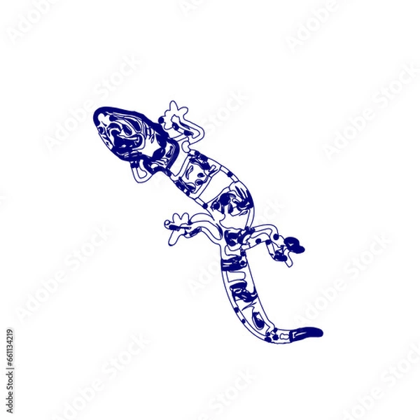 Fototapeta sketch of a lizard for elements in making logos and symbols