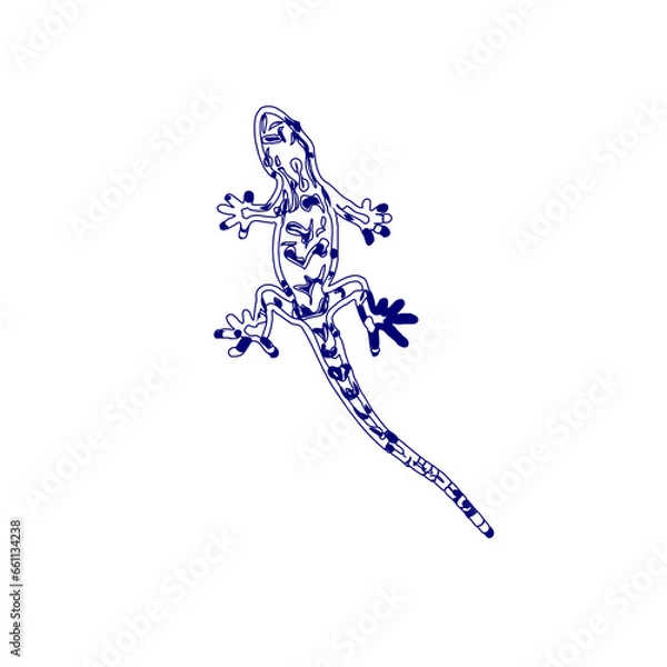Fototapeta sketch of a lizard for elements in making logos and symbols