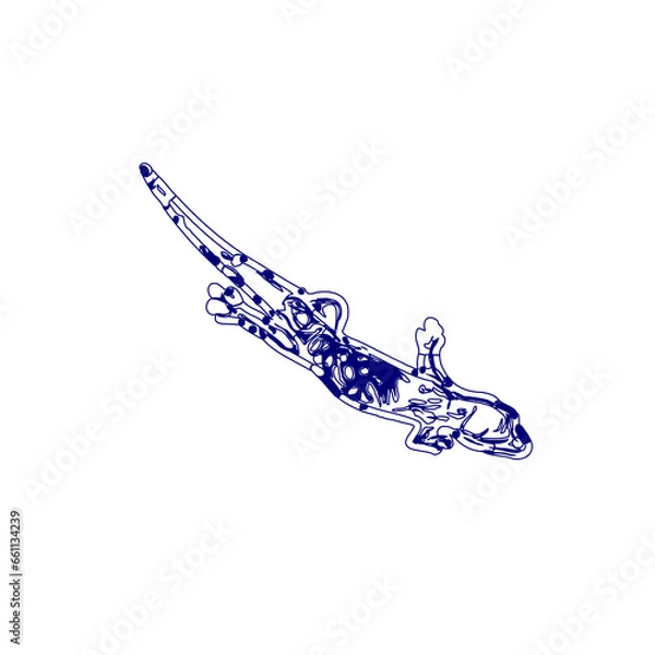 Fototapeta sketch of a lizard for elements in making logos and symbols