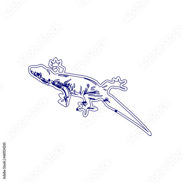 Fototapeta sketch of a lizard for elements in making logos and symbols