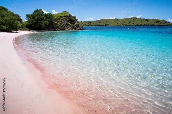 Obraz Sunny day on Pink Beach in Komodo National Park