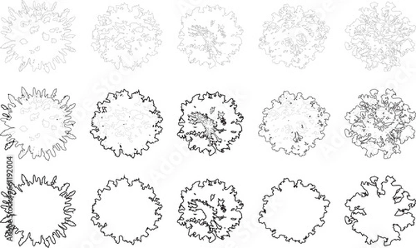 Fototapeta Tree plan line silhouettes - top view set 2