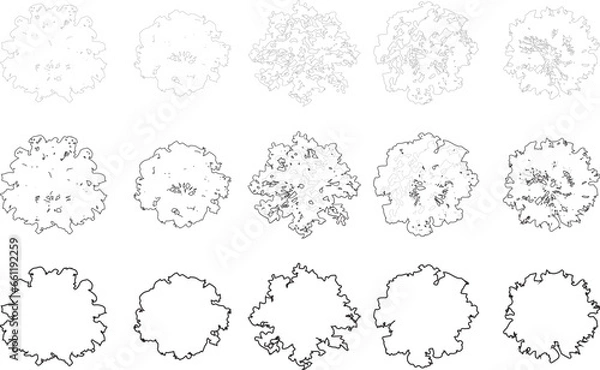 Fototapeta Tree plan line silhouettes - top view set 6