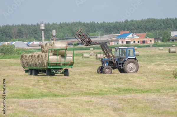Fototapeta Mechanized harvesting of grass on the flood-plain meadow
