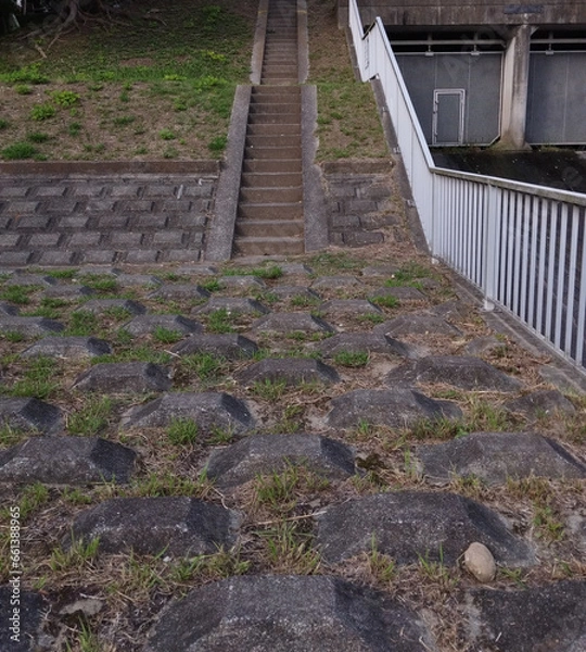 Obraz 治水堤防近くの雑草の生えたコンクリートの階段