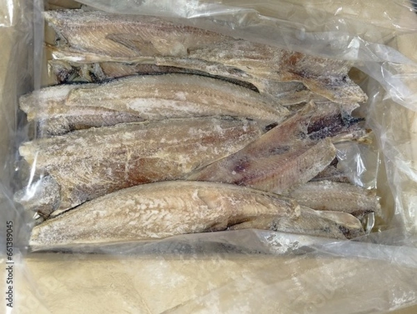 Obraz ダンボール箱に入ったたくさんの冷凍ホッケの切り身