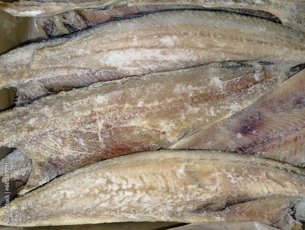 Obraz ダンボール箱に入ったたくさんの冷凍ホッケの切り身