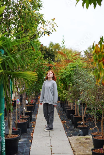 Fototapeta A young woman stands in a large greenhouse and chooses a pot with a small tree. A woman chooses plants for landscaping the yard