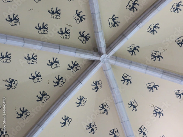 Fototapeta  ceiling with a pattern of black painted flemish lion