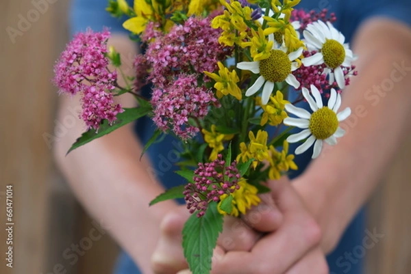 Obraz hands holding flowers