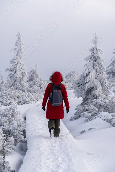 Obraz Woman in winter clothes with backpack walking on trail from Szrenica Peak to Sniezne Kotly. Amazing winter landscape with frozen rocks, stones and trees.