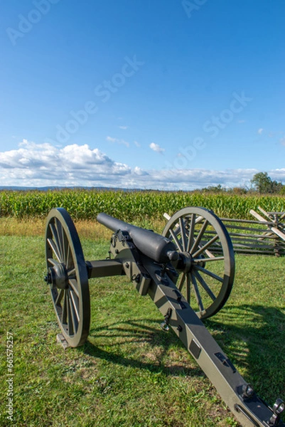 Obraz cannon in the field