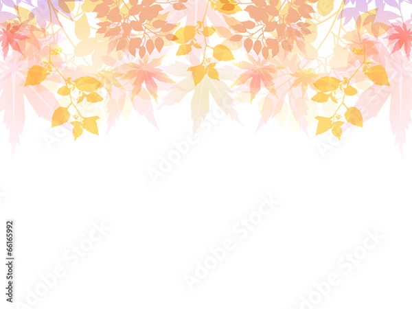 Fototapeta もみじ　紅葉　背景