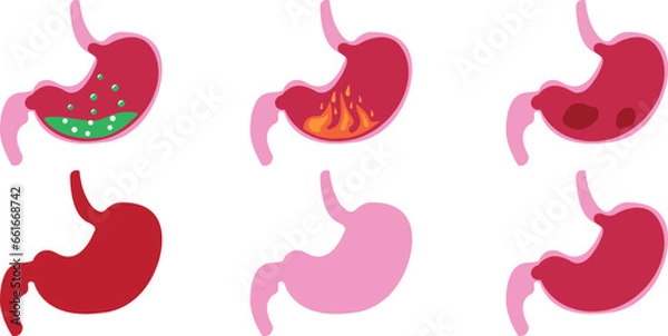 Fototapeta Set of Stomach icons. Human internal organs symbols. Colorful flat Digestive system anatomy. Vector illustration collection in flat style isolated on transparent background.