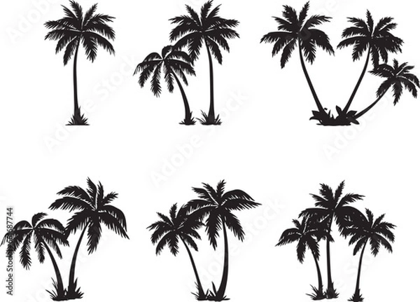 Obraz icon set set of palm tree or Arecaceae, propical branch, beach, bush 