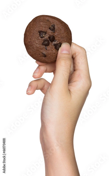 Obraz Hand holding cookie