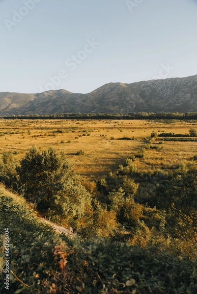 Obraz landscape in the mountains