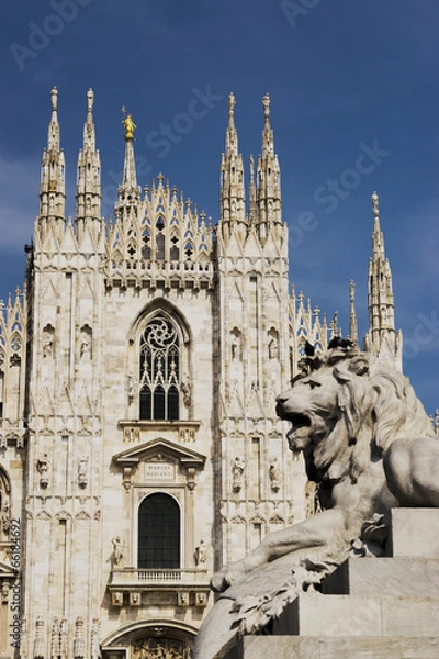 Fototapeta DUOMO E LEONE 1