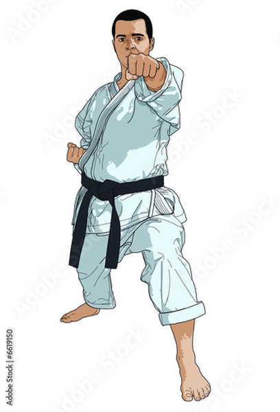 Obraz Karaté illustration
