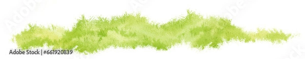 Obraz Watercolor Grass