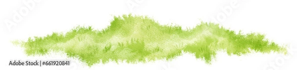 Obraz Watercolor Grass