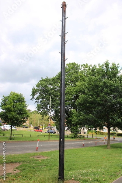 Fototapeta Newly installed telegraph pole with no connecting wires UK