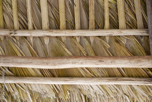 Fototapeta Palm roof