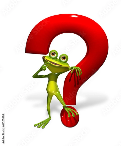 Obraz frog with a question mark