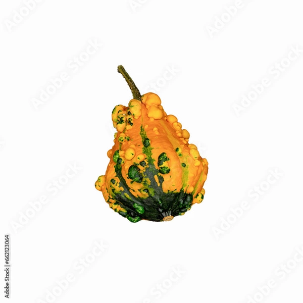 Obraz Decorative pumpkins on a white background. Suitable for pasting into a Halloween promotional banner.