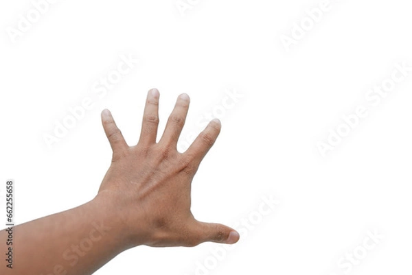 Fototapeta Human hand in picking gesture. man's hand reaches for something or holds something, fingers wide open. Isolate on a white background.