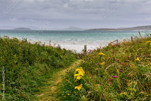 Obraz Path to the sea, Traigh Mhor beach, Isle of Barra, Scotland.