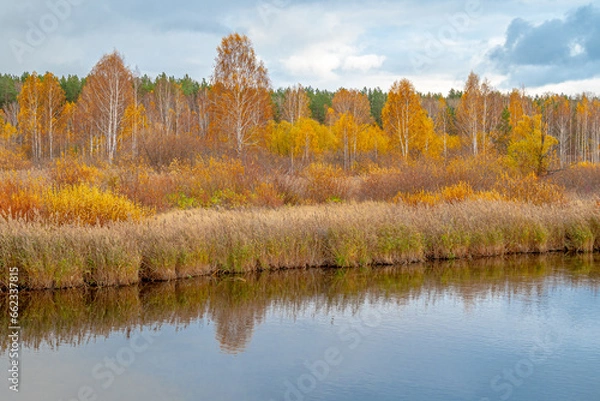 Fototapeta Нижний Академ