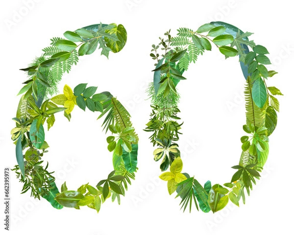 Fototapeta The shape of the number 60 is made of various kinds of leaves isolated on transparent background. suitable for birthday, anniversary and memorial day templates