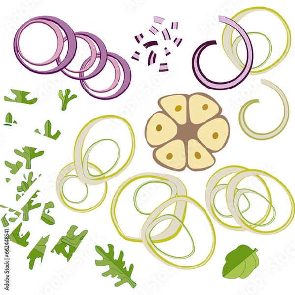 Fototapeta Onion. Ingredients for pizza. Red onion rings. Onion rings. Vector drawing. Doodle for salad, Pizzeria and cafe.Garlic.