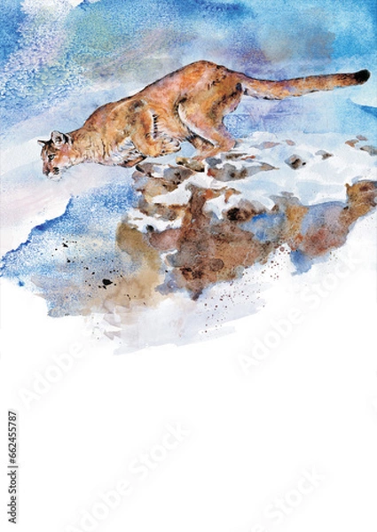 Obraz Running Puma over mounting.
Watercolor illustration.