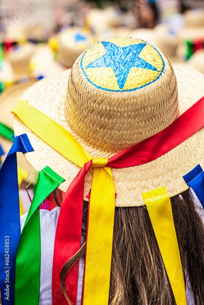 Fototapeta Arraial do Pavulagem is a musical group that develops an artistic and cultural movement that occupies the streets of Belém do Pará with its popular and colorful processions in June and October