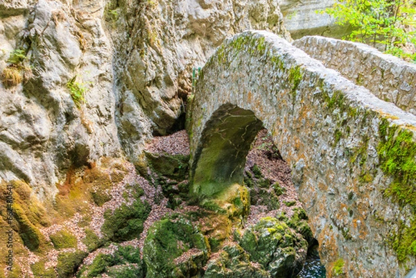 Fototapeta Old small stone bridge over river at Gorges de l'Areuse, Switzerland