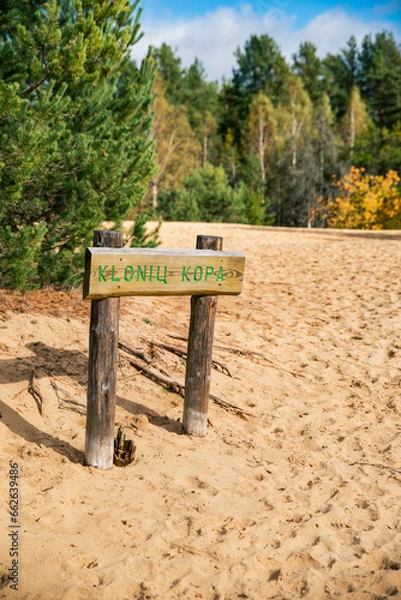 Obraz Kluonio Dune is a mesmerizing natural wonder, a pristine slice of desert beauty. Rising majestically from the Earth, this desert dune is a picturesque masterpiece 