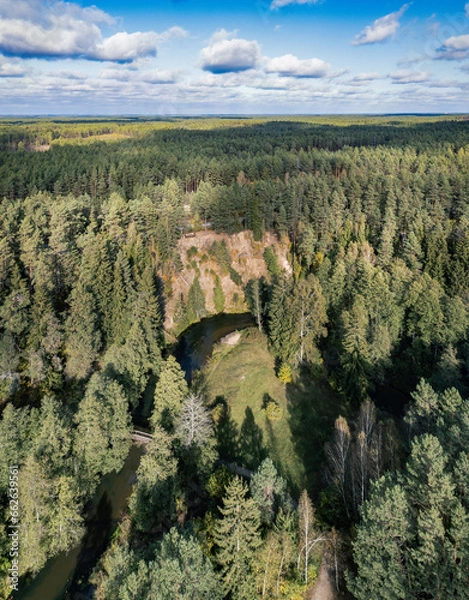 Obraz River ula in south of Lithuania flowing through forest