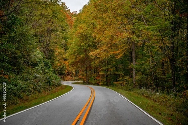 Obraz autumn fall trip