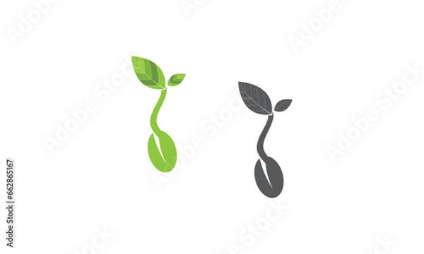 Obraz bean sprout leaf