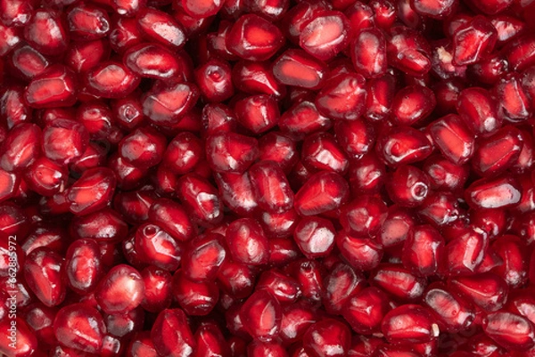 Fototapeta Fresh, juicy, ripe pomegranate arils .