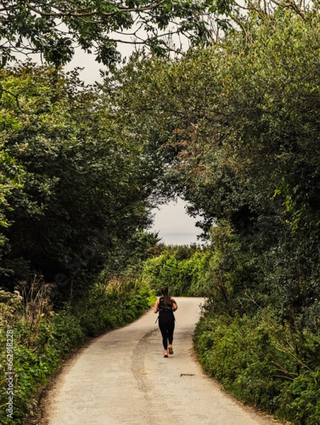 Obraz Running through the gap