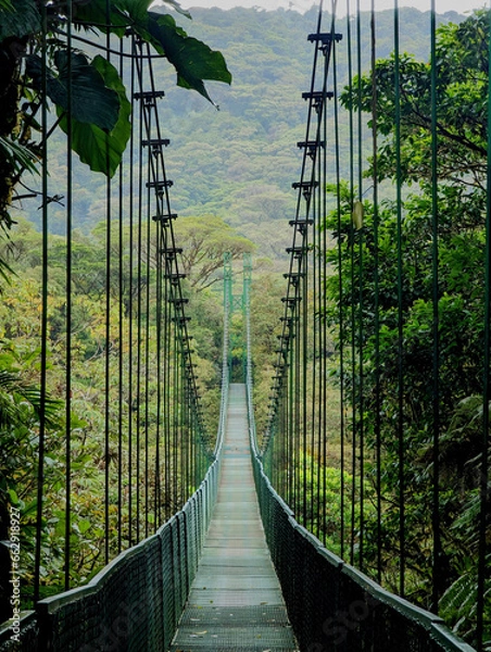 Fototapeta Canopy Climber