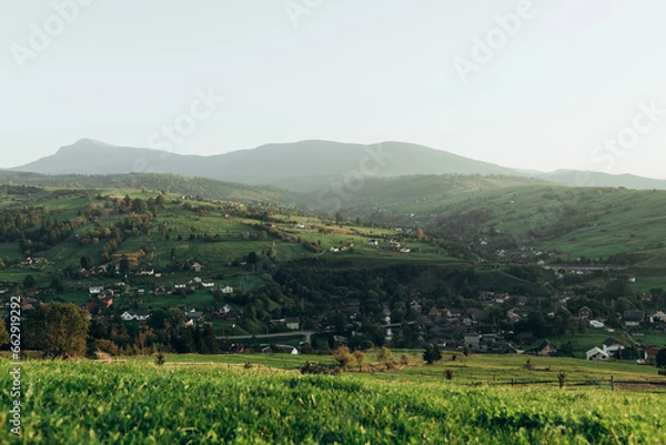 Obraz Meadow with green grass and mountains with village view Yasinya, Zakarpattia