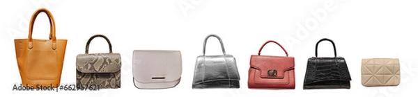 Fototapeta Set of different modern, fashion and elegance woman's bags on white background